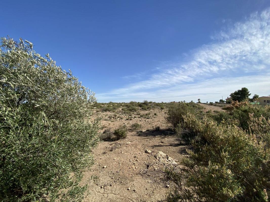 Land for sale in Elche / Elx, Alicante photo 4