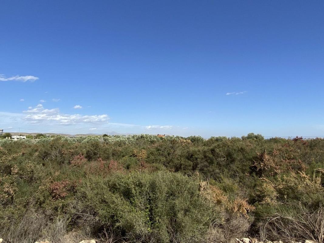 Land for sale in Elche / Elx, Alicante photo 5