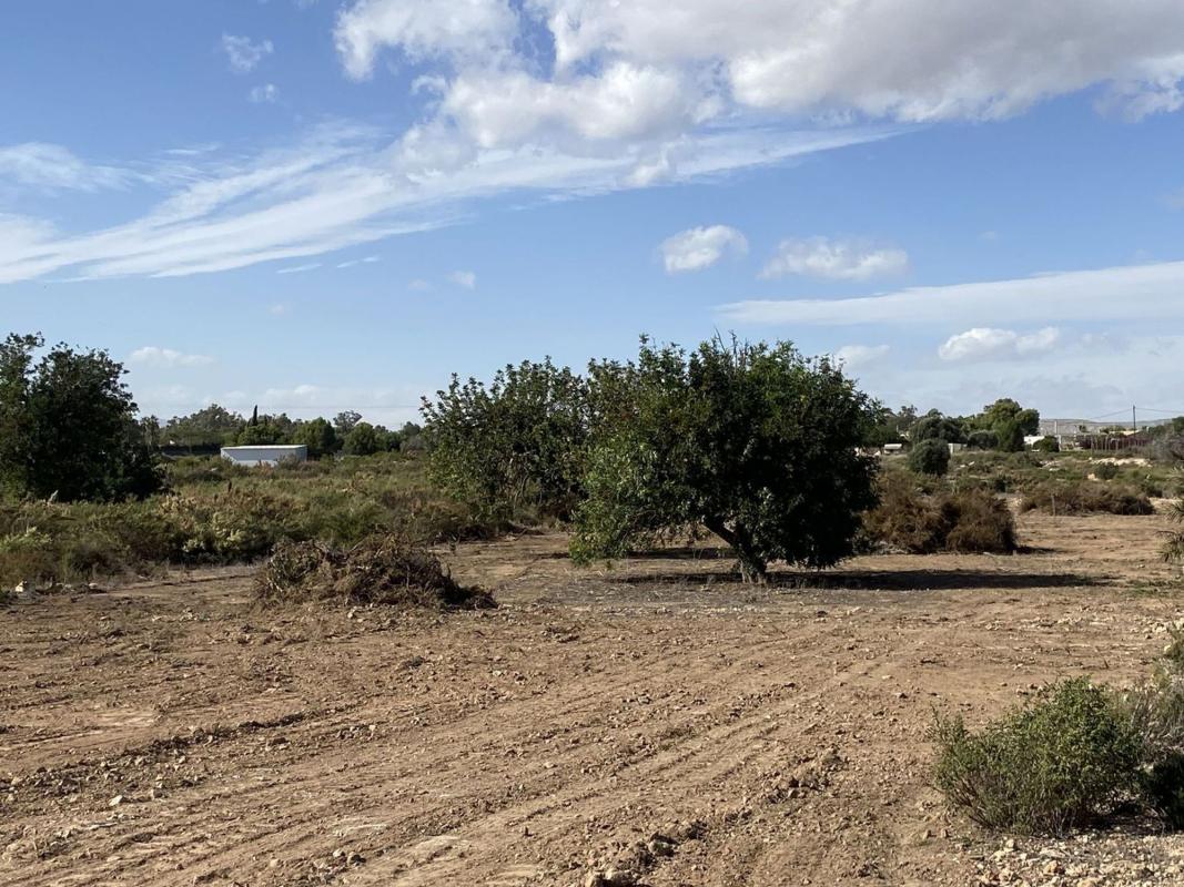 Land for sale in Elche / Elx, Alicante photo 1