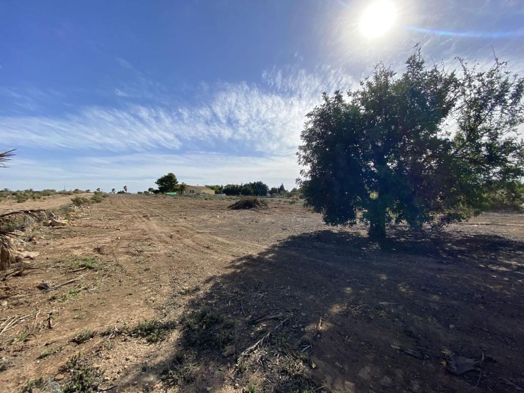 Land for sale in Elche / Elx, Alicante photo 2