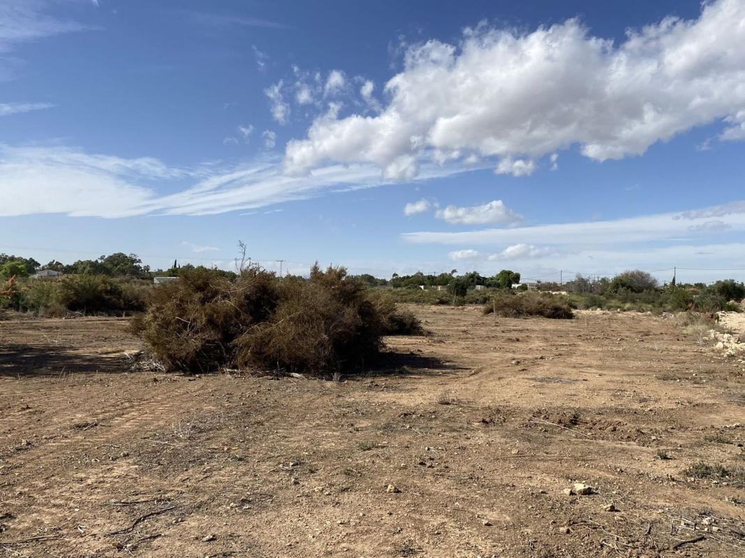 Land for sale in Elche / Elx, Alicante photo 3
