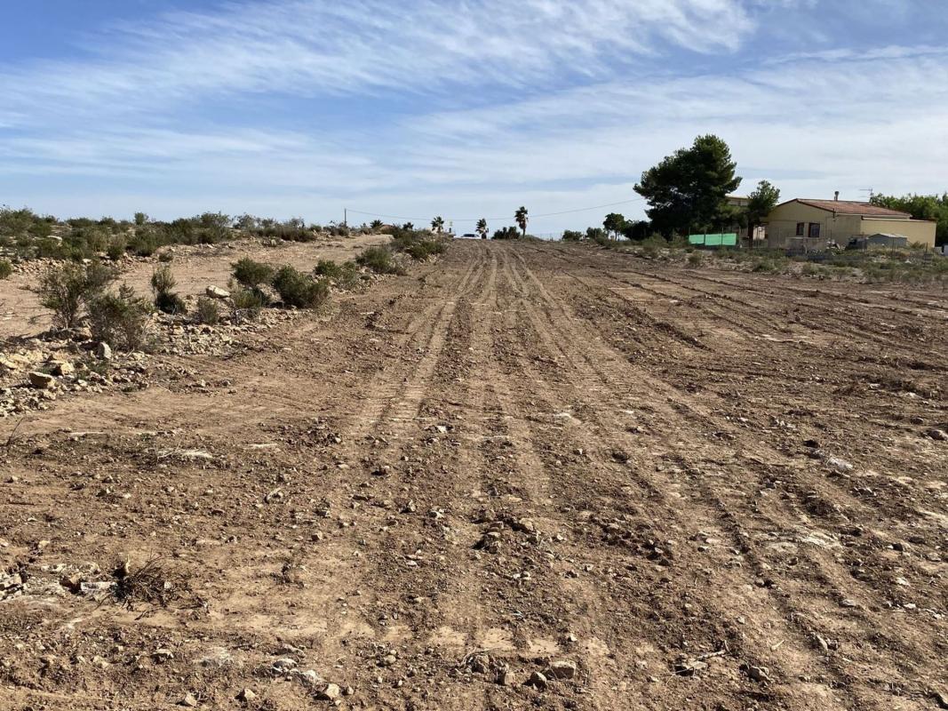 Land for sale in Elche / Elx, Alicante photo 4