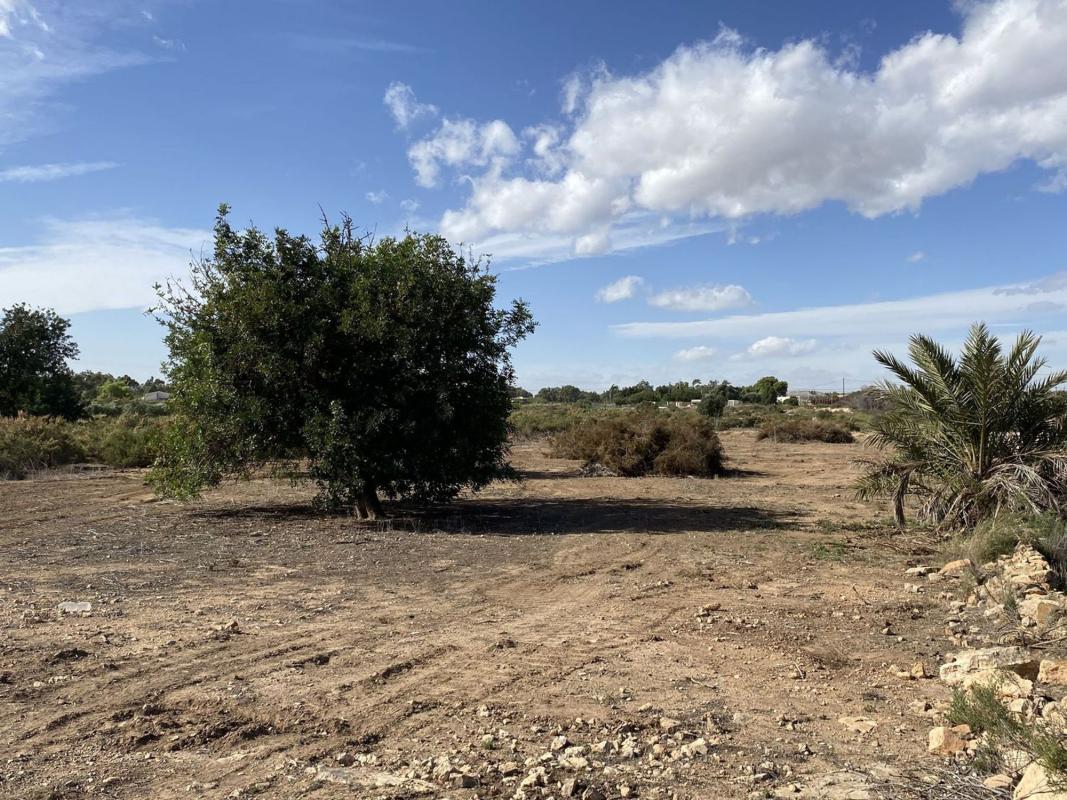 Land for sale in Elche / Elx, Alicante photo 5
