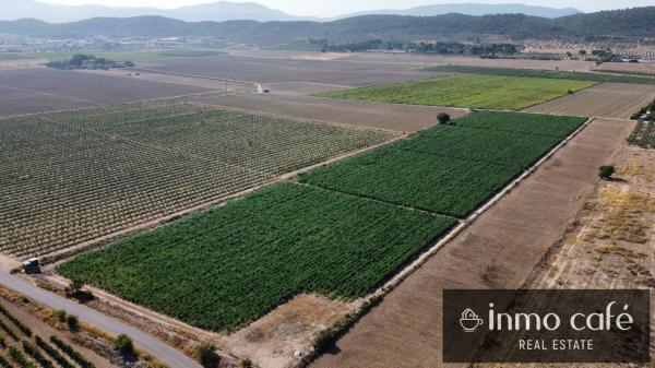 Terreno en Cv-81, Cabanes y Las Fuentes, Villena photo 1