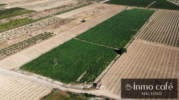 Terreno en Cv-81, Cabanes y Las Fuentes, Villena thumbnail 1
