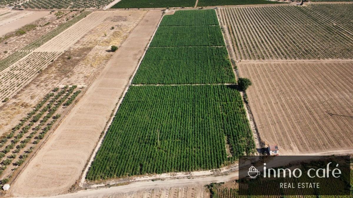 Terreno en venta en Villena, Alicante photo 3