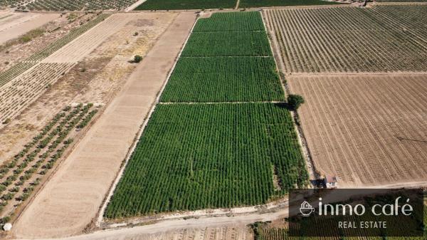 Terreno en Cv-81, Cabanes y Las Fuentes, Villena thumbnail 2