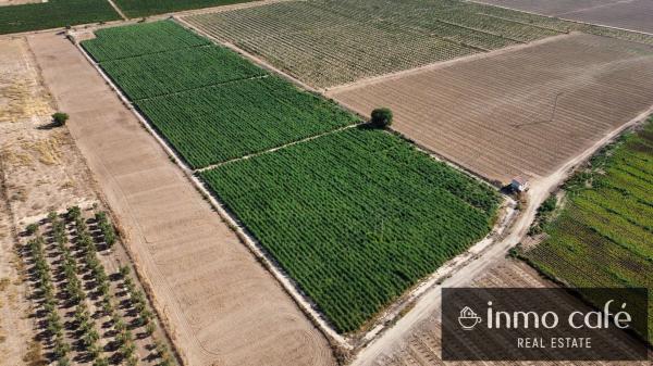 Terreno en Cv-81, Cabanes y Las Fuentes, Villena photo 4