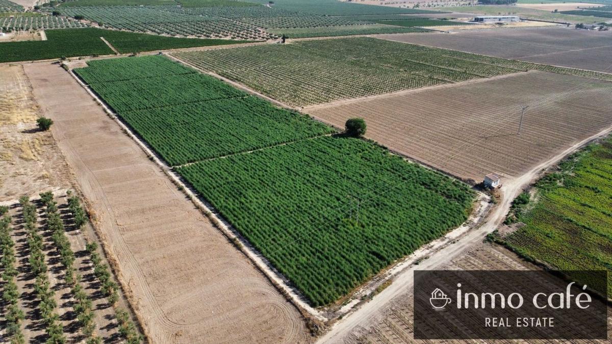 Terreno en venta en Villena, Alicante photo 5