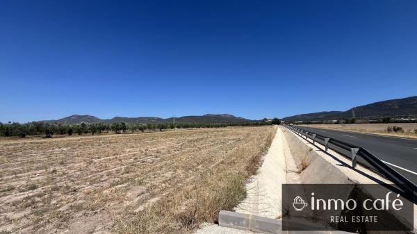 Terreno en Cv-807, Biar photo 2