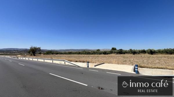 Terreno en Cv-807, Biar photo 4