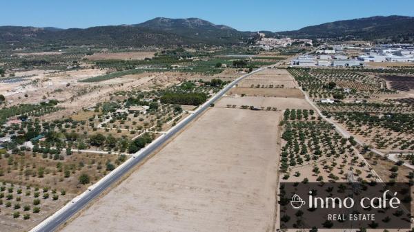Terreno en Cv-807, Biar photo 3
