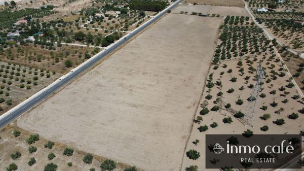 Terreno en Cv-807, Biar photo 4