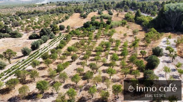 Terreno en Carretera CV 804, Biar thumbnail 1