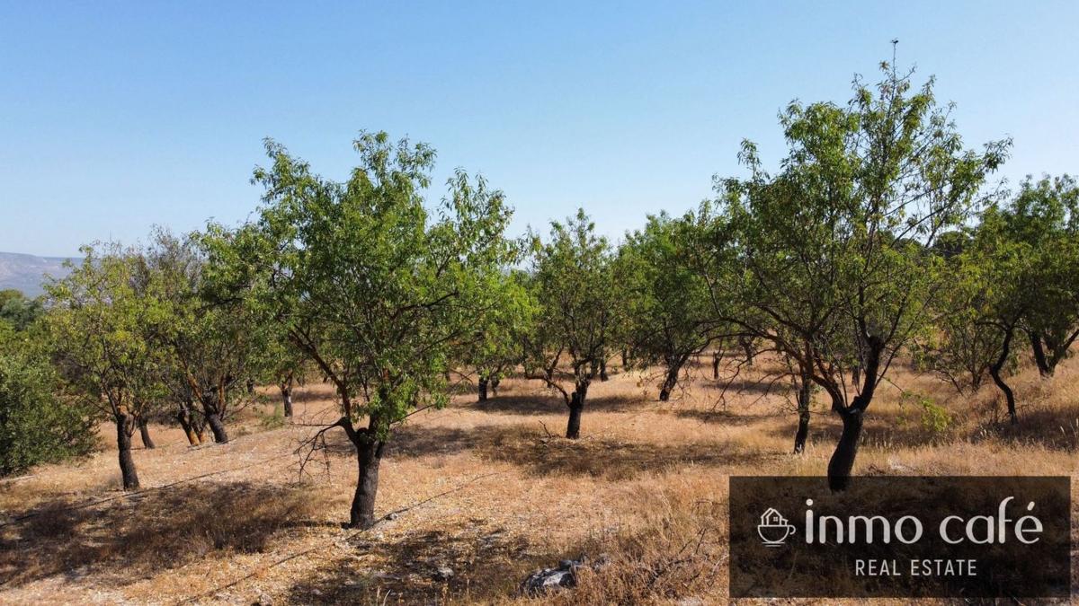 Участок земли на продажу в Биар, Аликанте photo 3