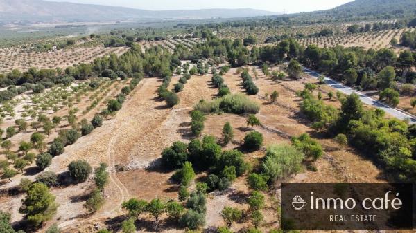 Terreno en Carretera CV 804, Biar thumbnail 2