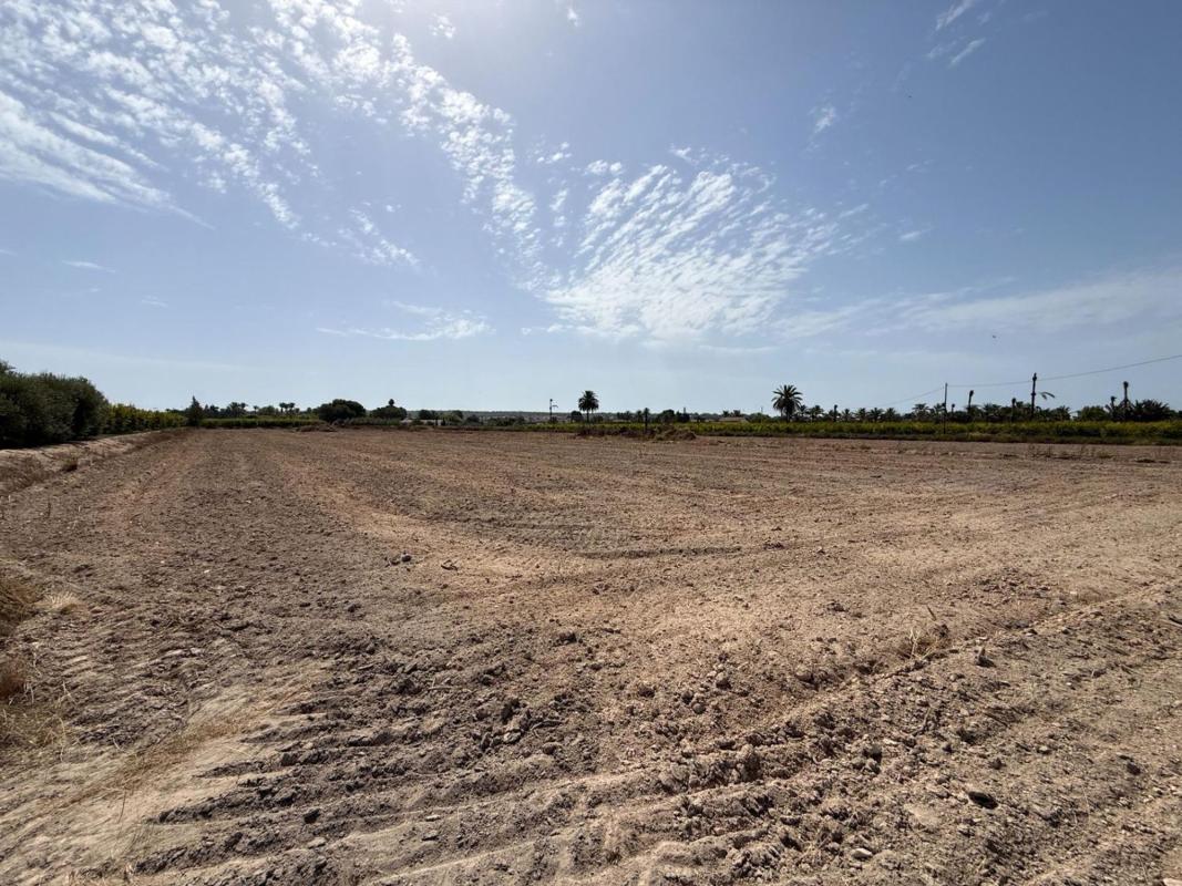 Land for sale in Elche / Elx, Alicante photo 1