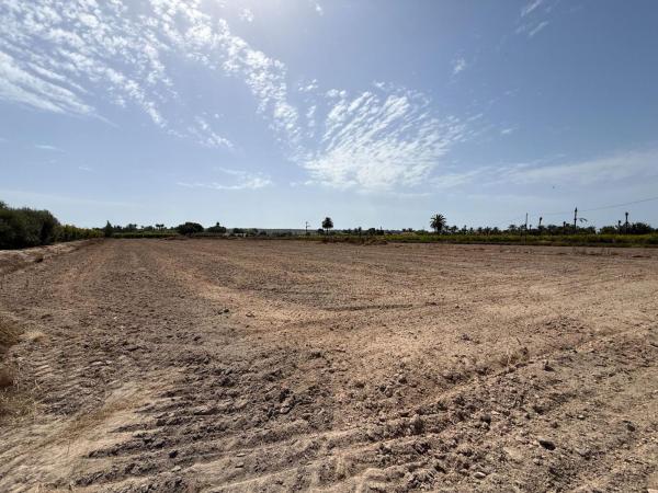 Terreno en Valverde, Elche / Elx photo 1