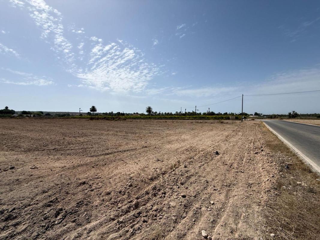 Land for sale in Elche / Elx, Alicante photo 2