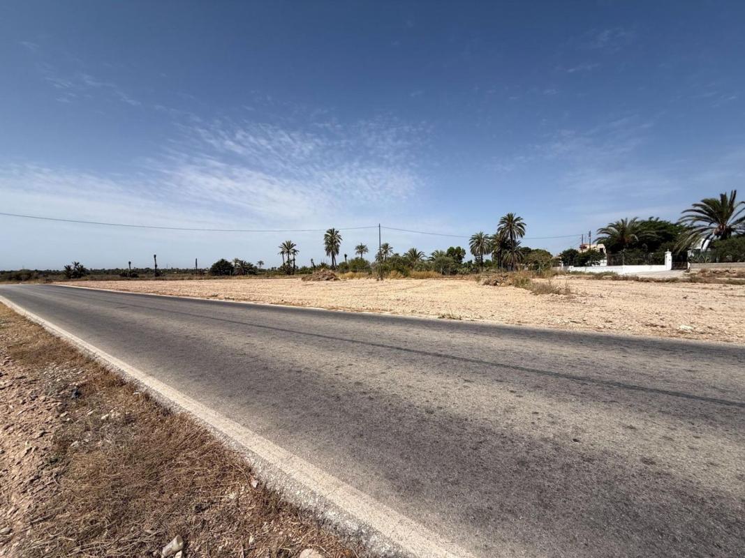 Land for sale in Elche / Elx, Alicante photo 3