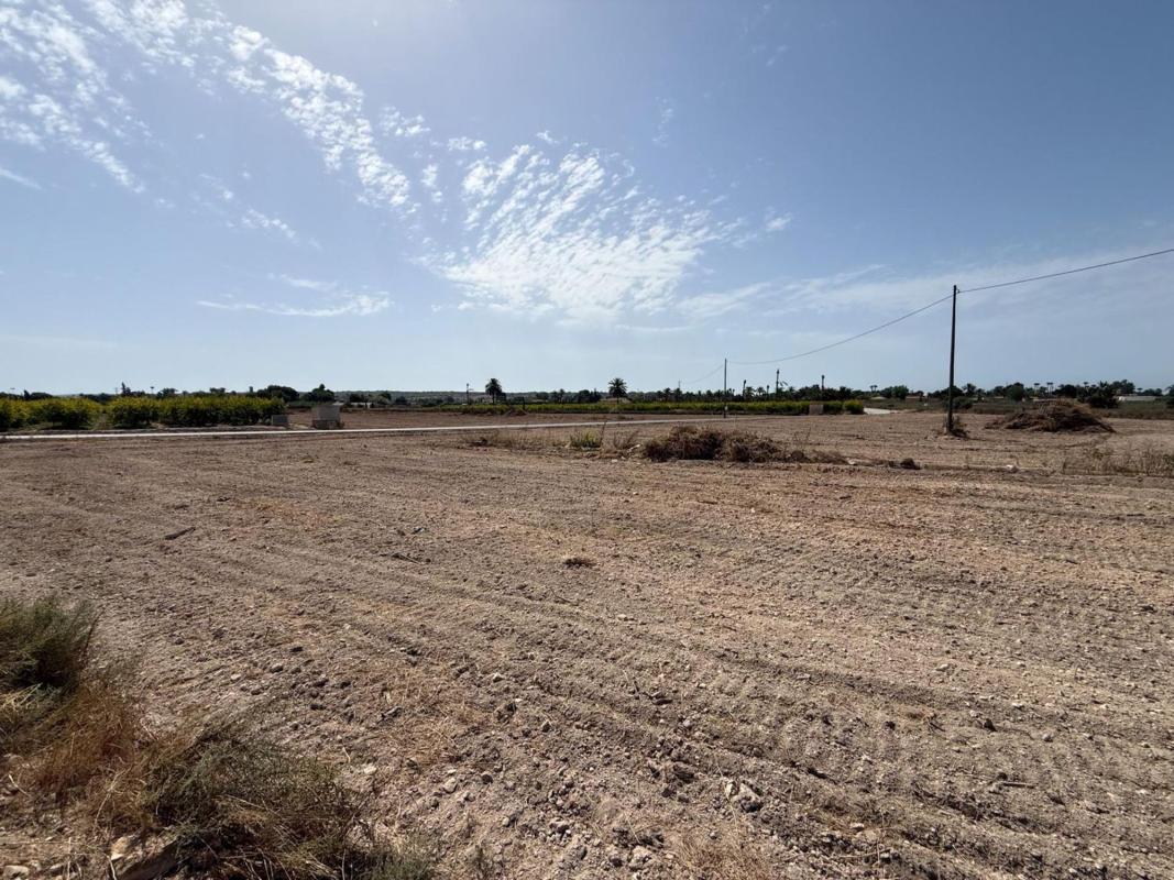 Land for sale in Elche / Elx, Alicante photo 4