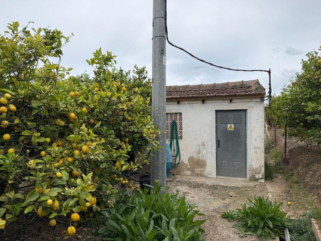 Działka na sprzedaż w San Miguel de Salinas, Alicante photo 4