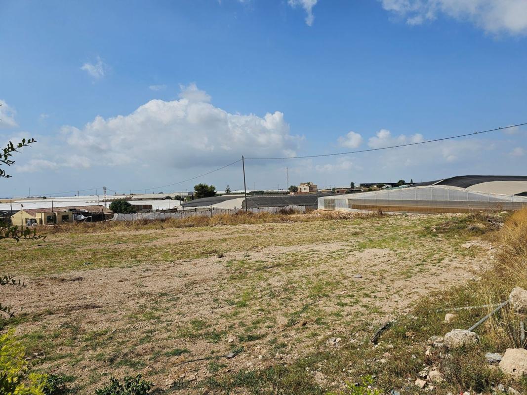 Terreno en venta en Pilar de la Horadada, Alicante photo 4