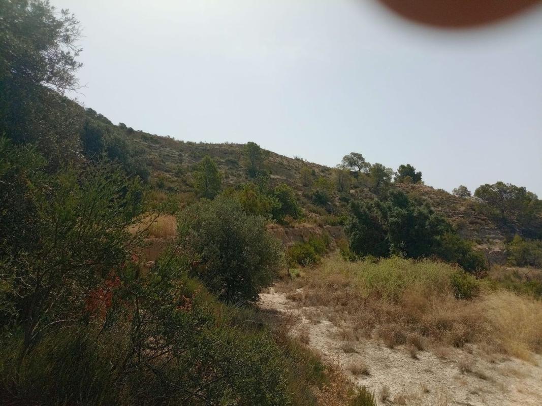 Terreno en venta en Relleu, Alicante photo 2