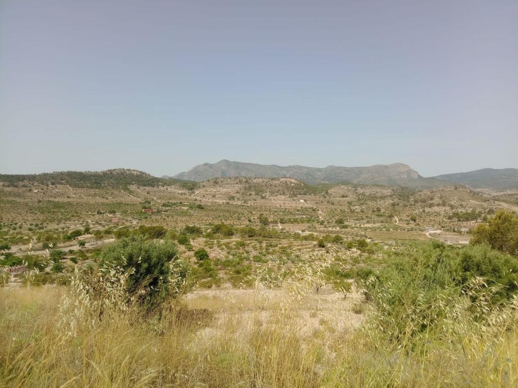 Terreno en venta en Relleu, Alicante photo 3