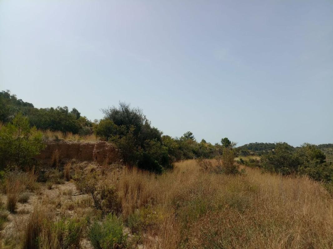 Terreno en venta en Relleu, Alicante photo 4