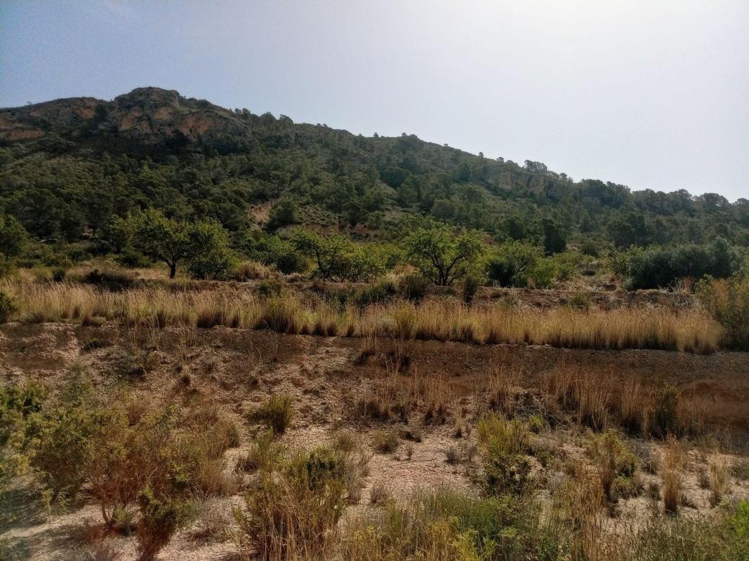 Terreno en venta en Relleu, Alicante photo 5