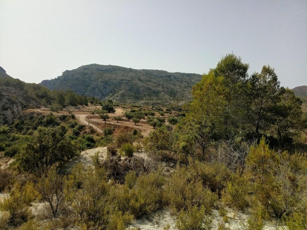 Land for sale in Relleu, Alicante photo 1