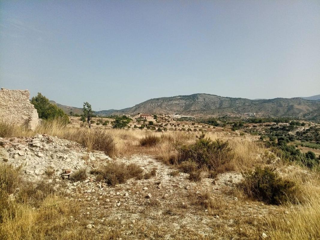 Land for sale in Relleu, Alicante photo 4