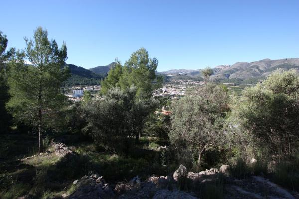 Terreno en Orba photo 2