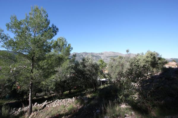 Terreno en Orba photo 3