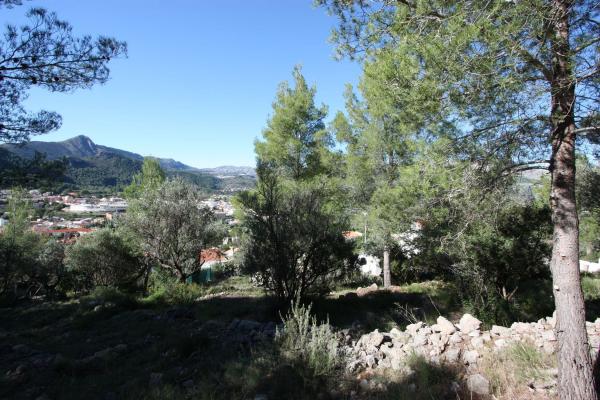 Terreno en Orba photo 4
