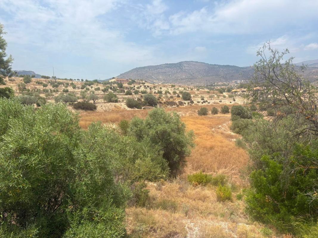 Land for sale in Relleu, Alicante photo 1