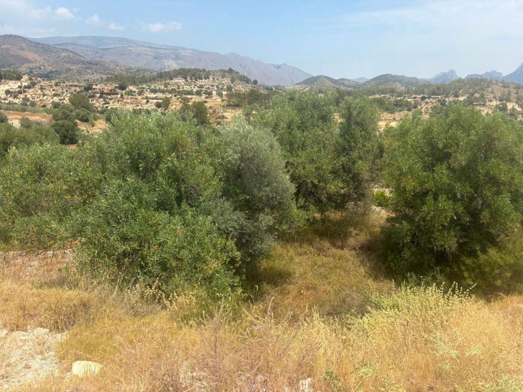 Land for sale in Relleu, Alicante photo 2