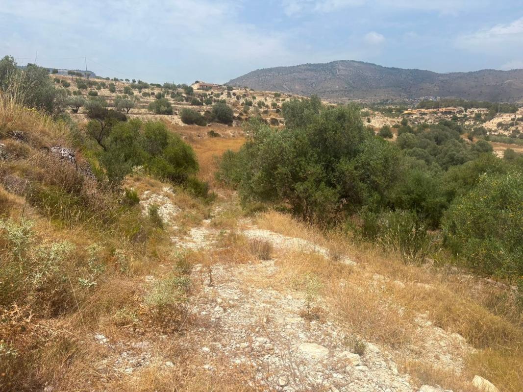 Land for sale in Relleu, Alicante photo 3