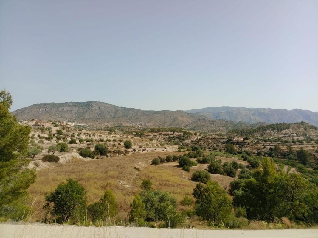 Land for sale in Relleu, Alicante photo 4