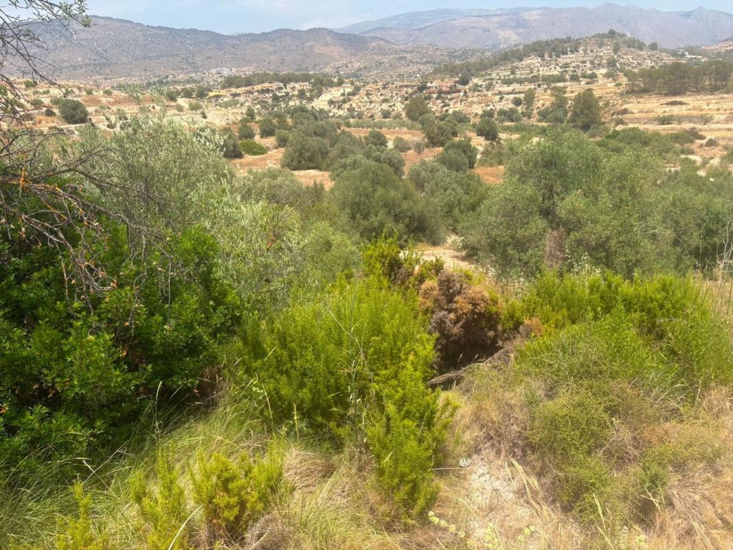Land for sale in Relleu, Alicante photo 5