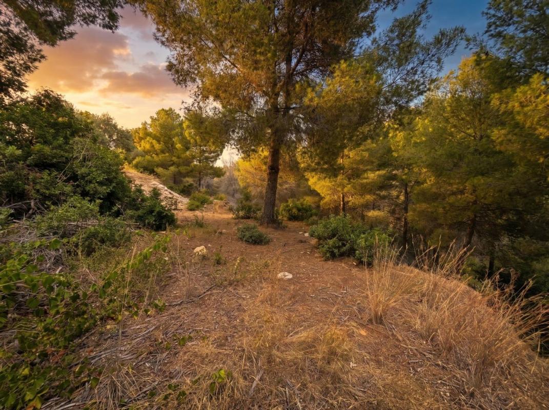 Terreno en venta en Benissa, Alicante photo 4