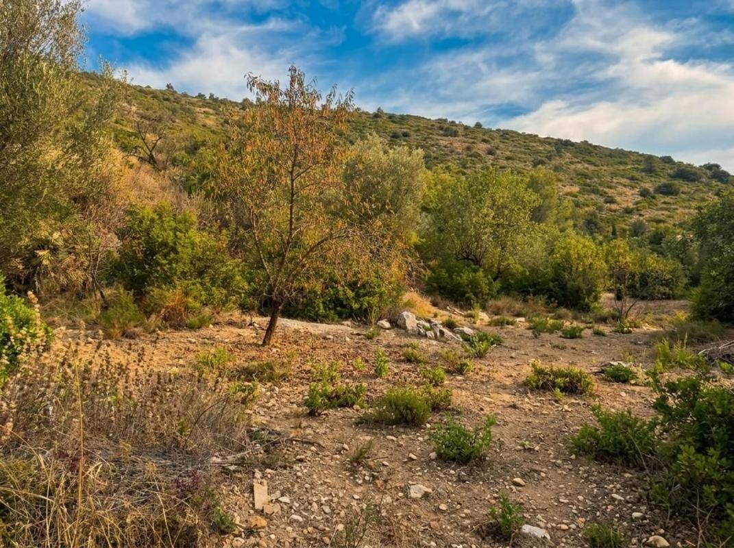 Land for sale in Alcalalí, Alicante photo 4