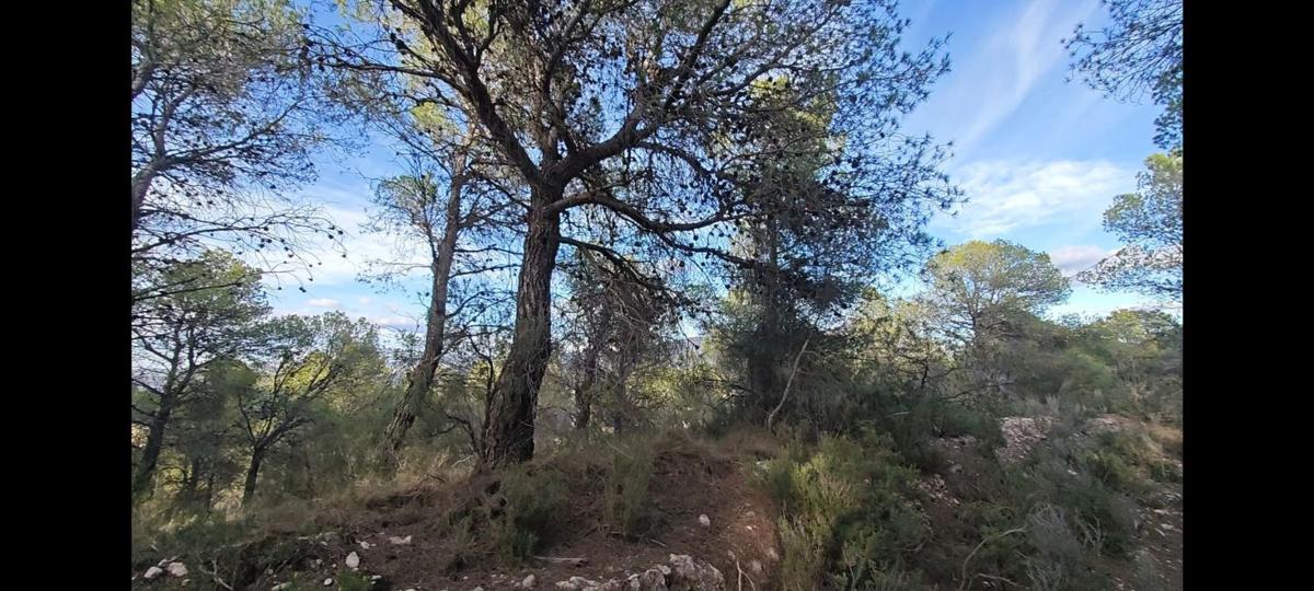 Terreno en venta en Tibi, Alicante photo 1