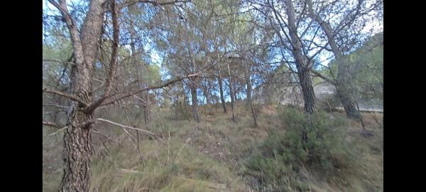Terreno en Urbanización Cruz del Maigmó, 1, Tibi thumbnail 2