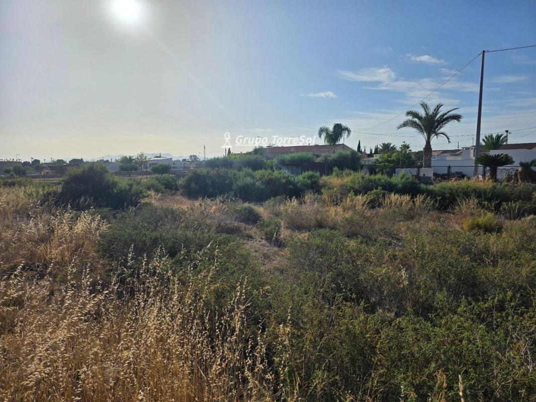 Działka na sprzedaż w Elche / Elx, Alicante photo 3
