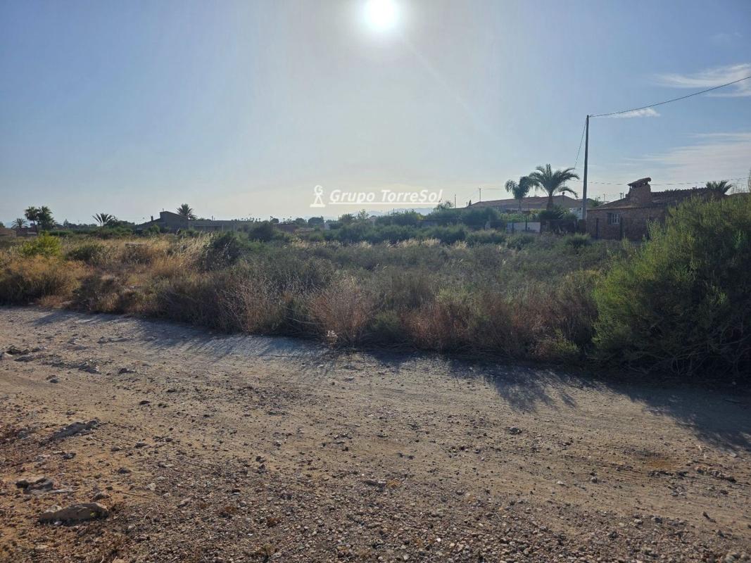 Działka na sprzedaż w Elche / Elx, Alicante photo 4