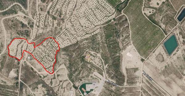 Terreno en Lo Salou, km 21, Desamparados-Hurchillo-Torremendo, Orihuela thumbnail 1