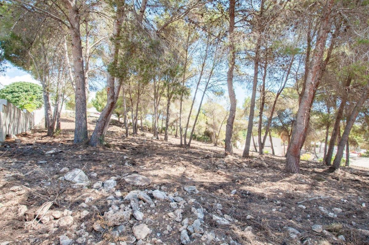 Terreno en venta en Moraira, Alicante photo 5