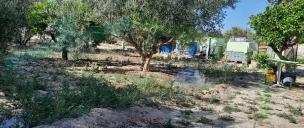 Terreno en Partida la Ermita, El Secanet - Hacienda del Sol, La Villajoyosa / Vila Joiosa thumbnail 2